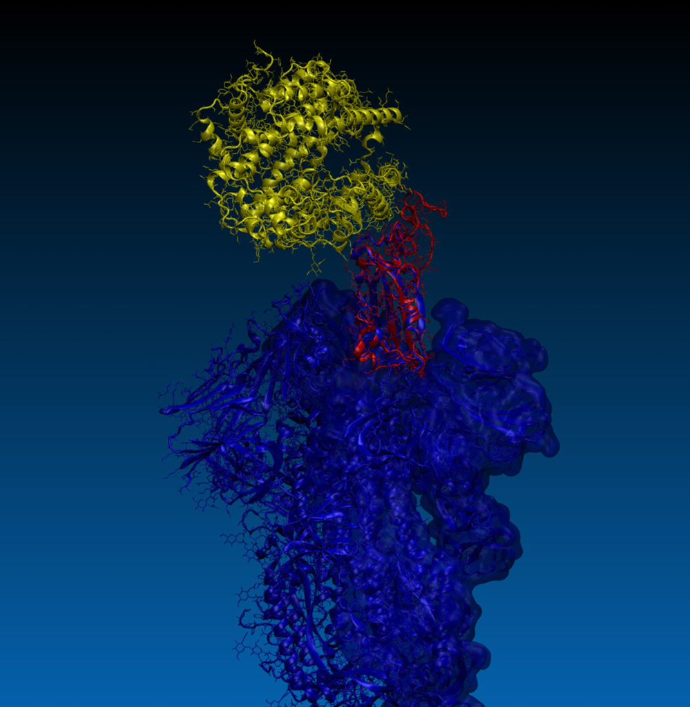 Illustration of spike protein mechanism